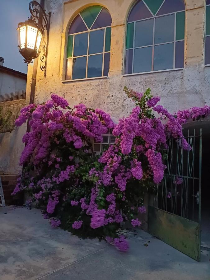Corte Averaldo San Felice del Benaco Exterior photo
